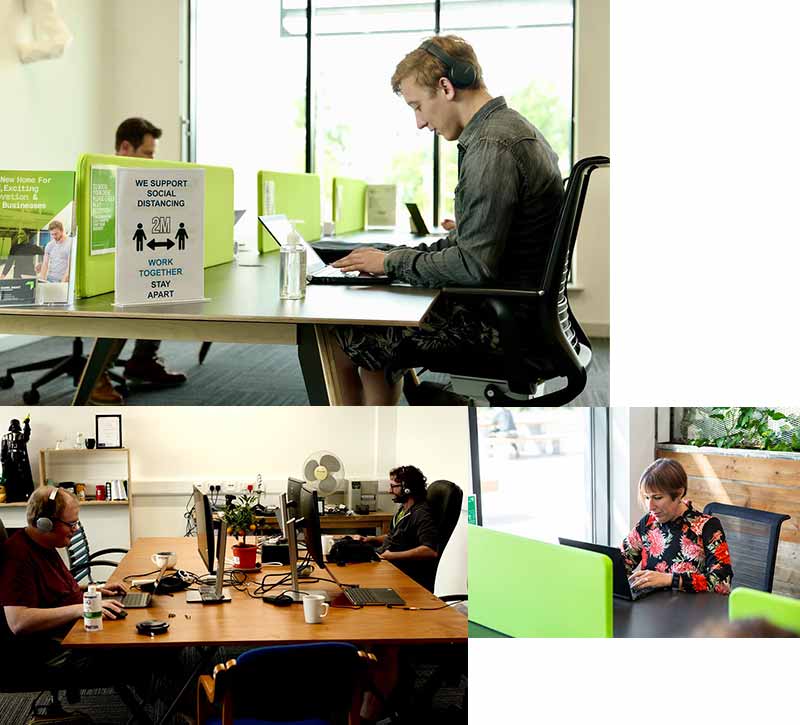 Office and Coworking Collage of People Working